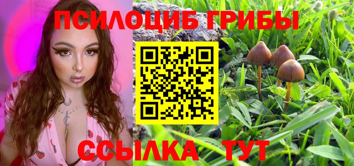 Галлюциногенные грибы GOLDEN TEACHER  Вход с VPN  Самара 